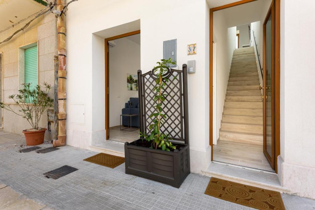 Bedda Luna Apartments San Vito Lo Capo Buitenkant foto